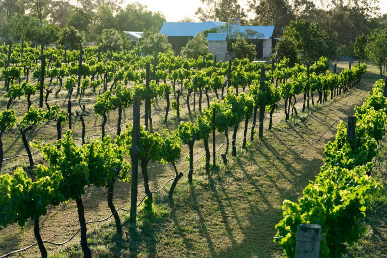 Thistle Hill Guesthouse - Walk To Many Wineries And Restaurants Bed & Breakfast