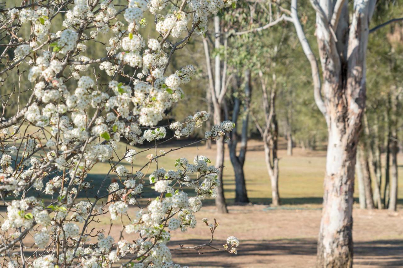 Bed & Breakfast Thistle Hill Guesthouse - Walk To Many Wineries And Restaurants Pokolbin