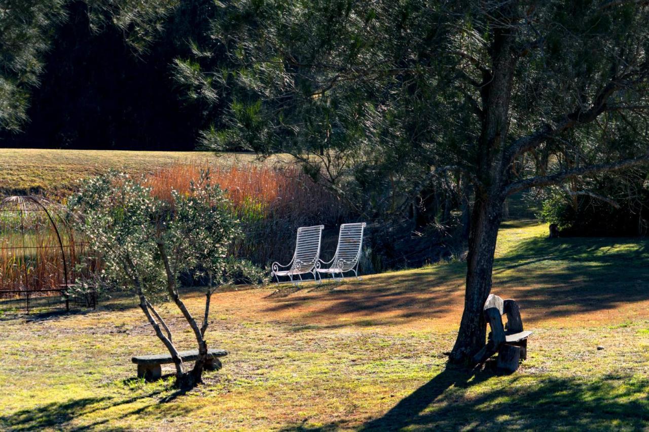 Bed & Breakfast Thistle Hill Guesthouse - Walk To Many Wineries And Restaurants